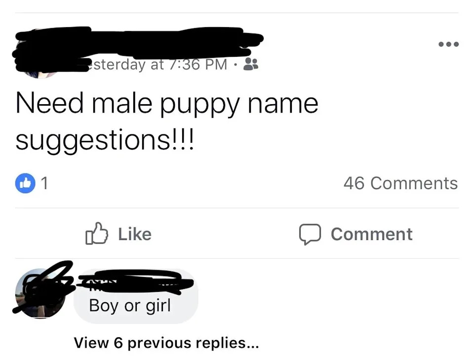 Facebook post asking for male puppy name suggestions with a comment asking the puppy's gender