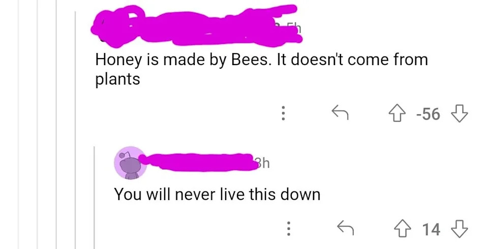 Social media post shows a humorous exchange where someone mistakenly states, "Honey is made by bees. It doesn't come from plants," and gets a reply, "You will never live this down."