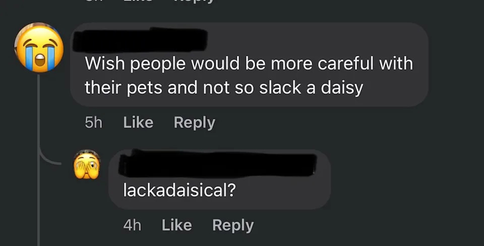 The image shows social media comments. One user says "Wish people would be more careful with their pets and not so slack a daisy," another replies, "lackadaisical?"