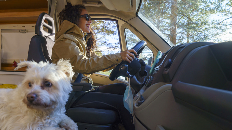 Woman driving an RV with her dog in the passenger seat