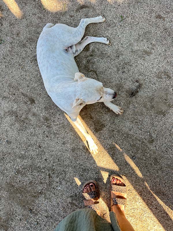 My Everyday Life Week 43 of 2025- Tracy Benjamin of Shutterbean.com