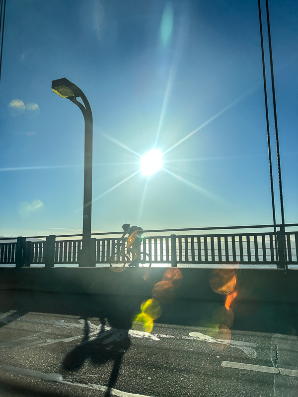 My Everyday Life Week 43 of 2025- Tracy Benjamin of Shutterbean.com