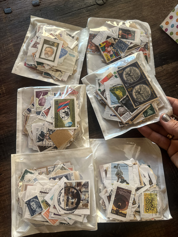 My Everyday Life Week 43 of 2025- Tracy Benjamin of Shutterbean.com