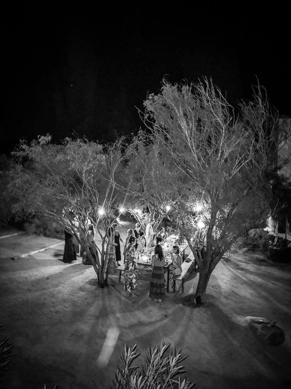 My Everyday Life Week 43 of 2025- Tracy Benjamin of Shutterbean.com