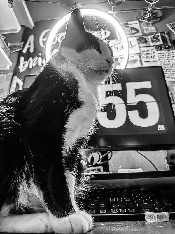 My Everyday Life Week 43 of 2025- Tracy Benjamin of Shutterbean.com