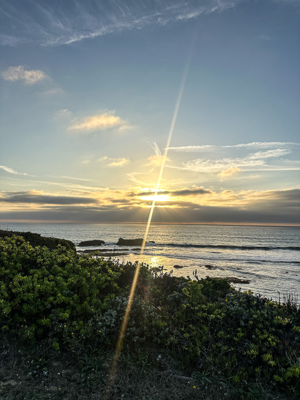 My Everyday Life Week 43 of 2025- Tracy Benjamin of Shutterbean.com