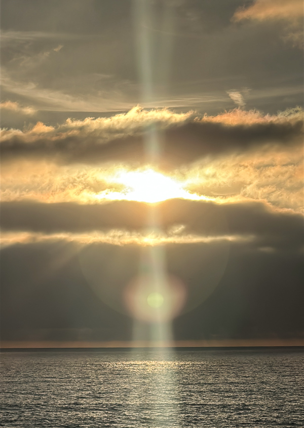 My Everyday Life Week 43 of 2025- Tracy Benjamin of Shutterbean.com