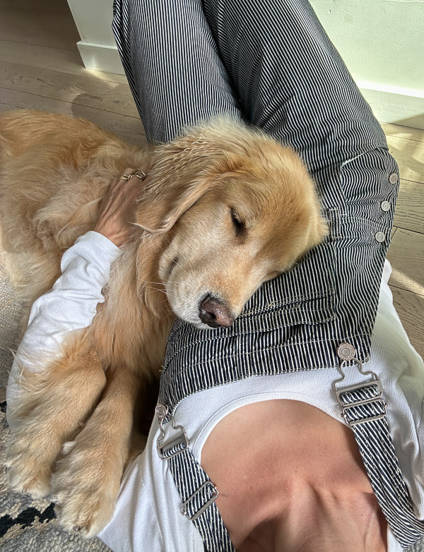 My Everyday Life Week 43 of 2025- Tracy Benjamin of Shutterbean.com