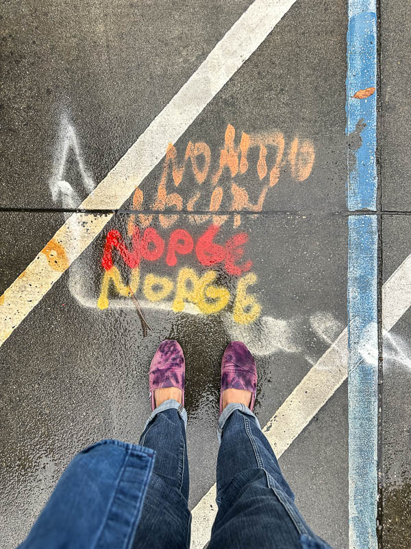 My Everyday Life Week 43 of 2025- Tracy Benjamin of Shutterbean.com