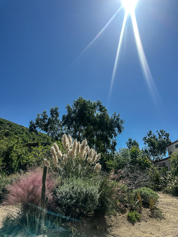 My Everyday Life Week 43 of 2025- Tracy Benjamin of Shutterbean.com