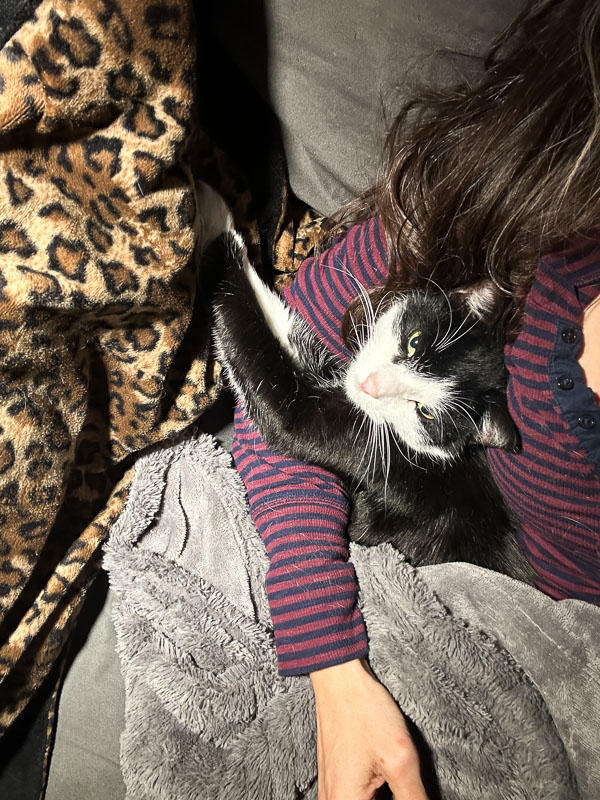 My Everyday Life Week 04 of 2026- Tracy Benjamin of Shutterbean.com