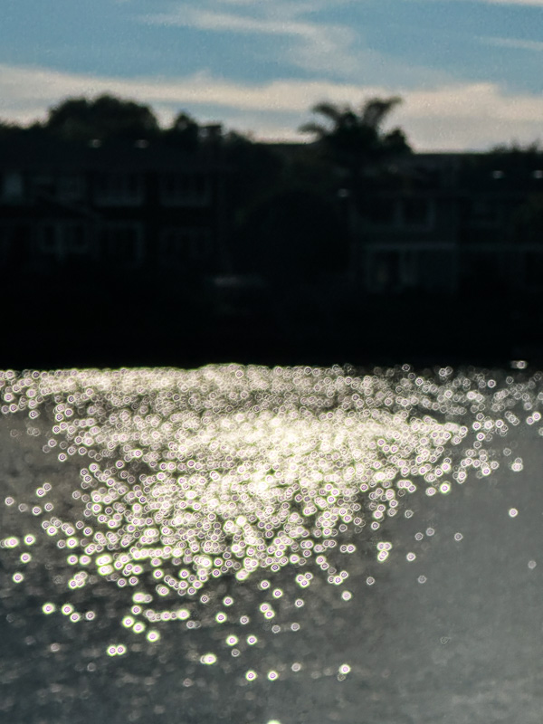 My Everyday Life Week 04 of 2026- Tracy Benjamin of Shutterbean.com