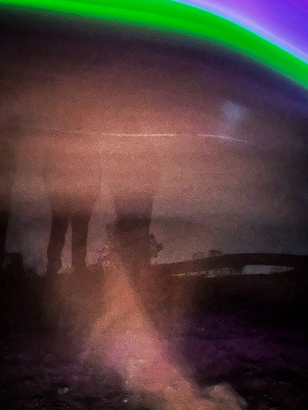 My Everyday Life Week 04 of 2026- Tracy Benjamin of Shutterbean.com